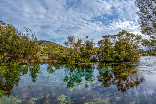Te Waikoropupū Springs, Pupu Springs, Takaka, Golden Bay, S&uuml;dinsel, Neuseeland, glasklares Quellbecken mit Cordyline australis und Phormium tenax, Aussichtsplattform, Naturreservat