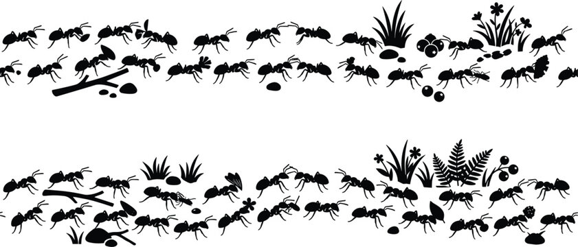 Seamless horizontal ant colony border with black silhouette insects marching through grass vector illustration