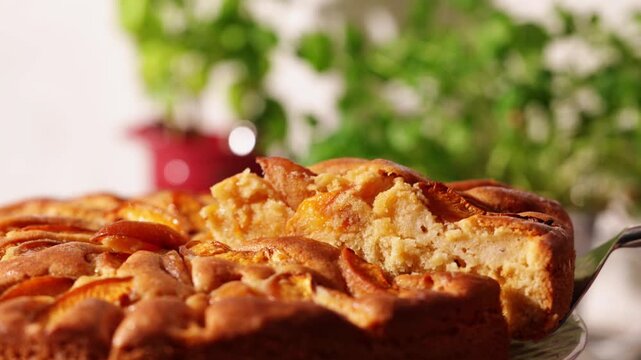 Close view of homemade apricot pie slice held on a spatula above the cake, highlighting moist crumb and caramelized fruit topping