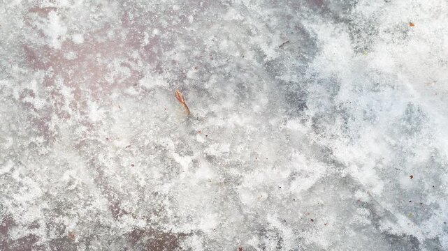 Frozen paving stones covered in a melting layer of ice. A close-up of a pedestrian path in winter and spring.