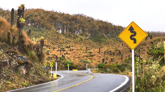 An orange winding-road sign stands beside the curving Murillo&ndash;Manizales road, surrounded by frailejones and high Andean mountain slopes.