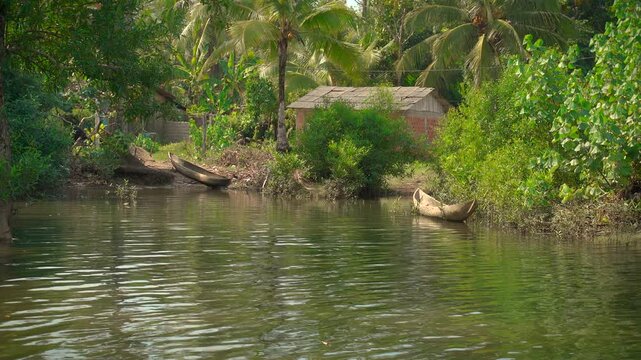 Wooden canoes sit parked on the muddy banks of a quiet tropical river surrounded by dense vegetation and palm trees in Nuqu&iacute;.