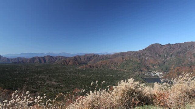 青木ヶ原樹海と西湖