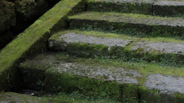 苔むした石段