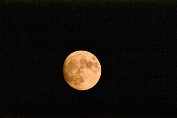 Close-up of a large full moon with warm orange tones and visible craters, isolated against a dark black night sky with copy space around it. © Ruben