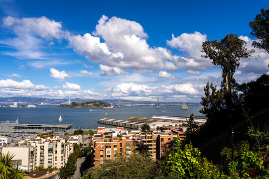 Panoramic view of San Francisco Bay and lush greenery, USA