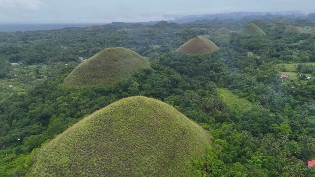 Aerial View of the Chocolate Hills in Bohol