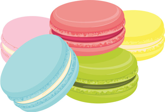Colorful sweet macarons vector illustration, delicious french dessert graphic for sweet food and bakery design