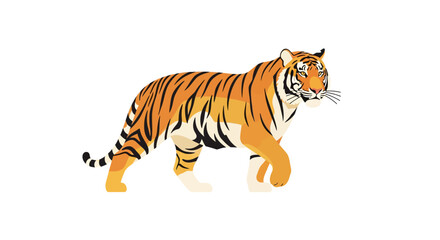 Obraz premium Tiger walking in profile view.