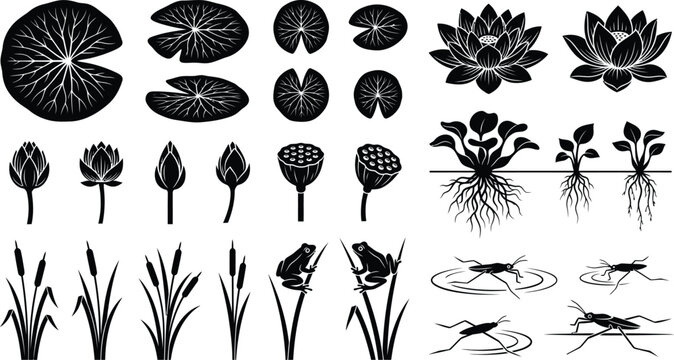 Aquatic Water Lily Lotus Botanical Silhouette Collection Isolated Vector Plant Elements Set