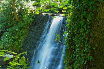 A vibrant waterfall cascades over a textured stone wall, surrounded by lush green foliage and bathed in dappled sunlight - Ashworth Valley, Rochdale, UK © Robert