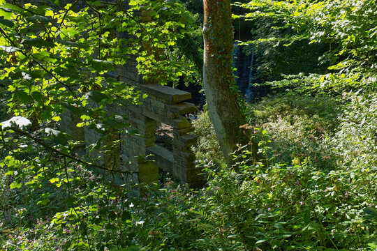 A rustic structure is framed by lush green foliage and trees, with dappled sunlight. A light-colored tree trunk anchors the right side of this natural landscape - Ashworth Valley, Rochdale, UK