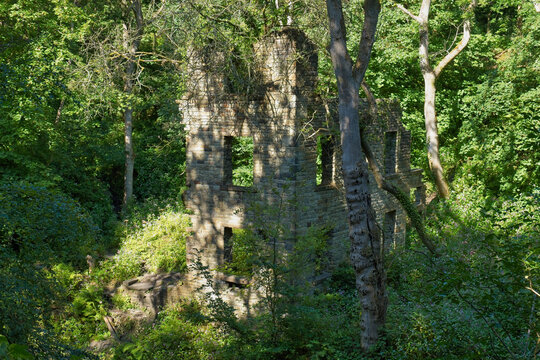 Ancient stone ruins, heavily overgrown with lush green foliage and trees, bathed in dappled sunlight - Ashworth Valley, Rochdale, UK