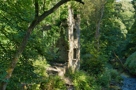 An ancient stone ruin, bathed in sunlight, stands amidst vibrant green foliage in a lush forest, showcasing a scenic landscape - Ashworth Valley, Rochdale, UK