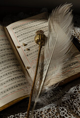 White feather on antique Gregorian chant book in warm vintage light © TetiKam