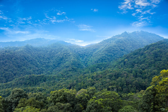 green trees in the foreground and blue mountain layers stretching to the horizon under a dramatic sky