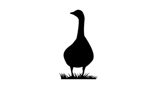 Goose, front view, black isolated vector silhouette