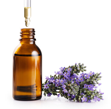 Bouquet of lavender and a bottle of lavender essential oil isolated on a white background. Essential oil dripping from pipette into bottle. With clipping path.