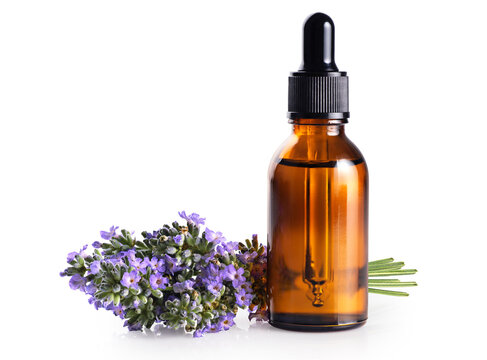 Bouquet of lavender and a bottle of lavender essential oil isolated on a white background. With clipping path.