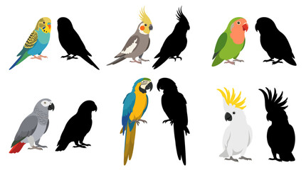 Collection of Parrot Vector Illustrations Featuring Budgerigar, Cockatiel, Lovebird, African Grey, Blue and Gold Macaw and Sulphur Crested Cockatoo Isolated on White Background © koushkij