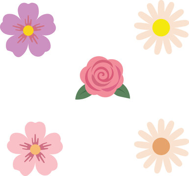 A collection of cute diverse spring flowers including a pink rose, daisies, and pastel blossoms isolated on a white background.