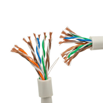 Broken ethernet cable on white background. Damaged internet wire with exposed copper wires.