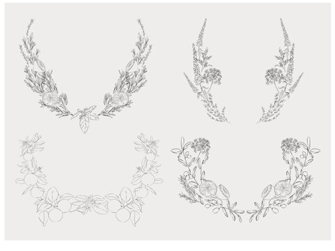Botanical Wreath Collection with Herbs and Citrus