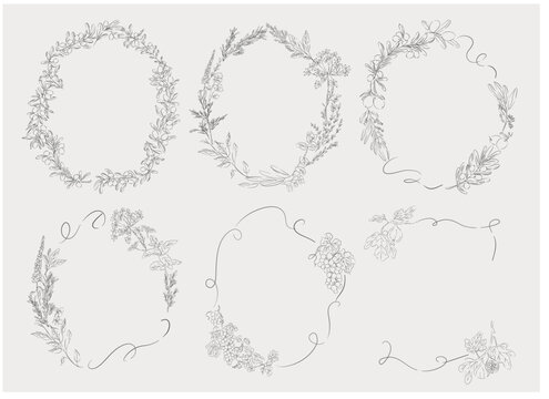 Botanical Frames and Decorative Borders Collection