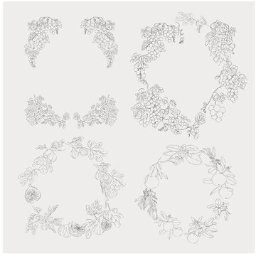Botanical Wreath Collection with Grapevine and Fig