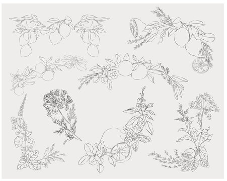 Mediterranean Botanical Corner Borders Collection