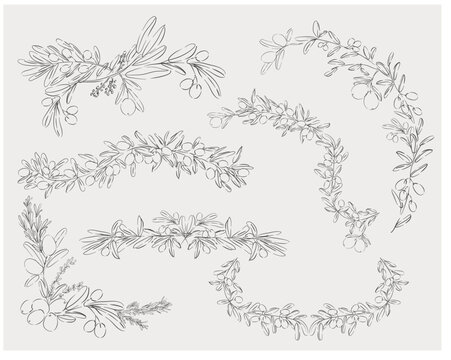 Olive Branch Borders and Wreaths Collection