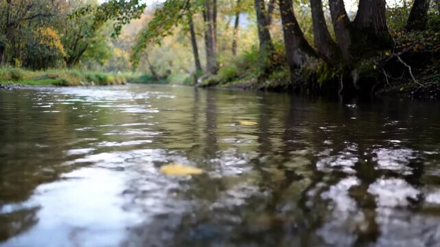 Natural scenery of rivers in the forest, reflections of forest rivers in autumn