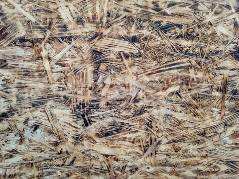 Wood shavings scattered in a random pattern, creating a natural wooden texture background ideal for carpentry, woodworking, construction, and design projects.