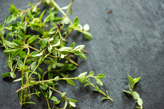 Fresh thyme on slate surface.
