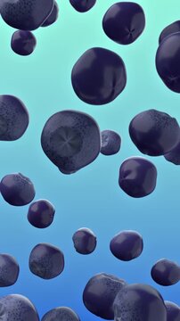 Blueberries flying on blue and turquoise gradient background with fresh ripe berries floating in the air. 3d rendering