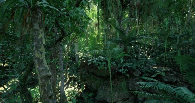 Peaceful woods featuring dense foliage and soft moss covers, Gentle woodland scene showcasing abundant greenery and tranquil mossy trees everywhere