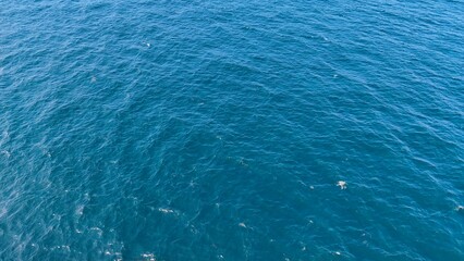 Deep blue ocean water surface texture with gentle waves and sunlight ripples, clean aquatic backdrop with copy space © Artulina