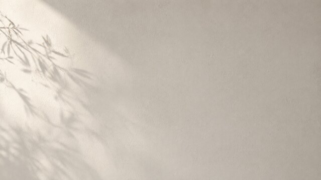 Minimalist greige wall background with delicate plant leaf shadows and soft light