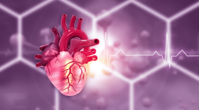 Realistic 3D human heart anatomy illustration positioned on a professional scientific background.
