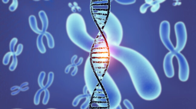 Futuristic 3D DNA double helix strand weaving through X-shaped chromosomes on scientific background.