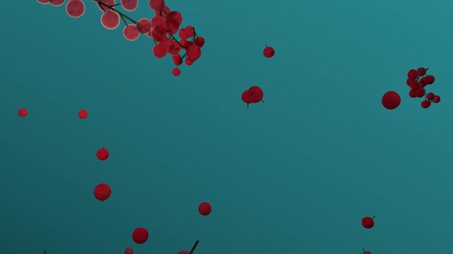 Red berries flying on teal green background with branches of ripe cranberries levitating in the air. 3d rendering