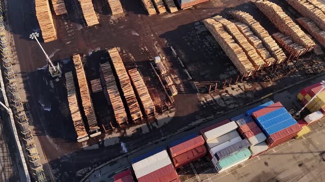 drone shot overlooking neat rows of stacked raw lumber logs alongside colorful shipping containers at a commercial export harbor terminal.