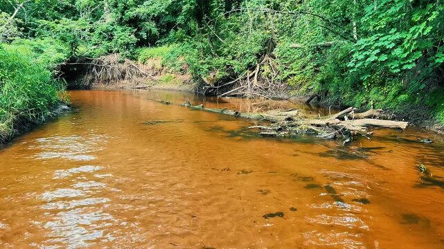 A shallow, calm river with a distinct reddish-orange sandy bottom flows through a dense summer forest. Ideal for ecology, travel, and nature projects.