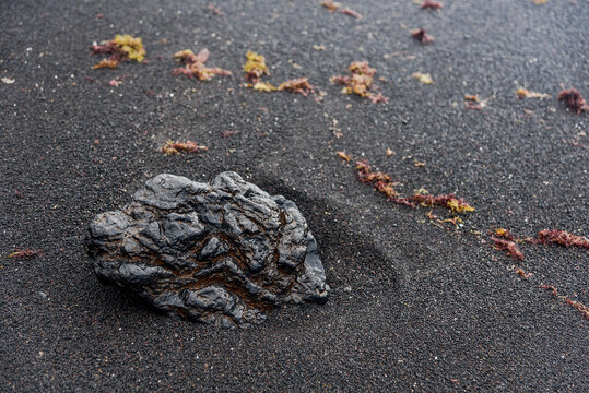 Textured black volcanic sand beach with a wet dark stone and scattered red seaweed. Zen wellness spa background, nature abstract texture for meditation, relaxation and autumn design