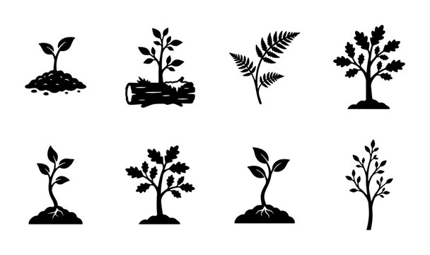 Seedling and Tree Growth Icons, Plant Life Cycle Vector Set, Nature and Ecology Silhouette Collection