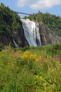 Flowers and falls vertical - Montmorency Falls - Quebec, Canada