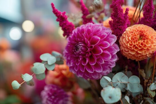 Vibrant dahlia flower bouquet with orange and purple petals. Floral arrangement for wedding celebration. Natural background with fresh plant and leaf in bloom for spring holiday.
