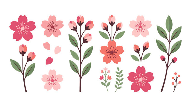 Set of cherry blossom flowers and branches in spring isolated on transparent background
