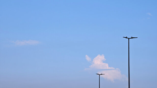 Street Lamps & Abstract Shaped Cloud
