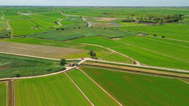 Aerial panorama of rice fields, wetlands and irrigation channels in Ebro Delta, Spain, sustainable agricultural landscape